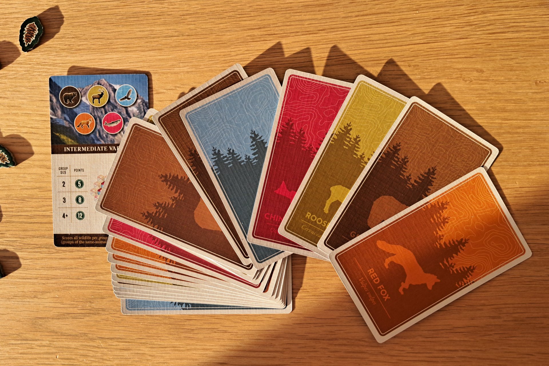 Artwork and design details on the back of Cascadia scoring cards