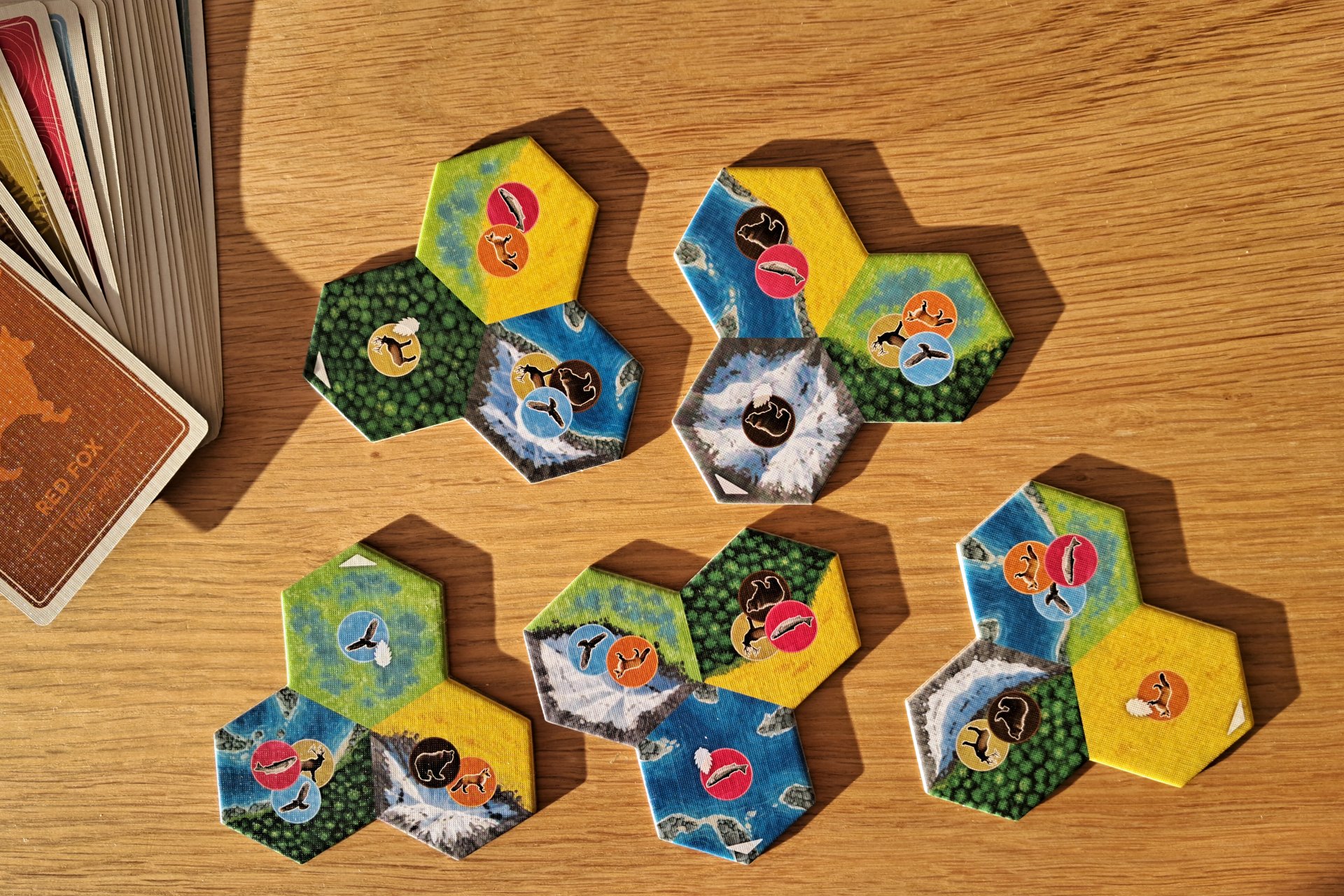 The five starter habitat tiles