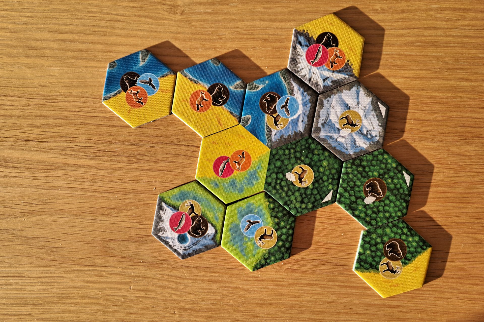 A close up of a habitat tile with other habitat tiles placed around it during Cascadia gameplay