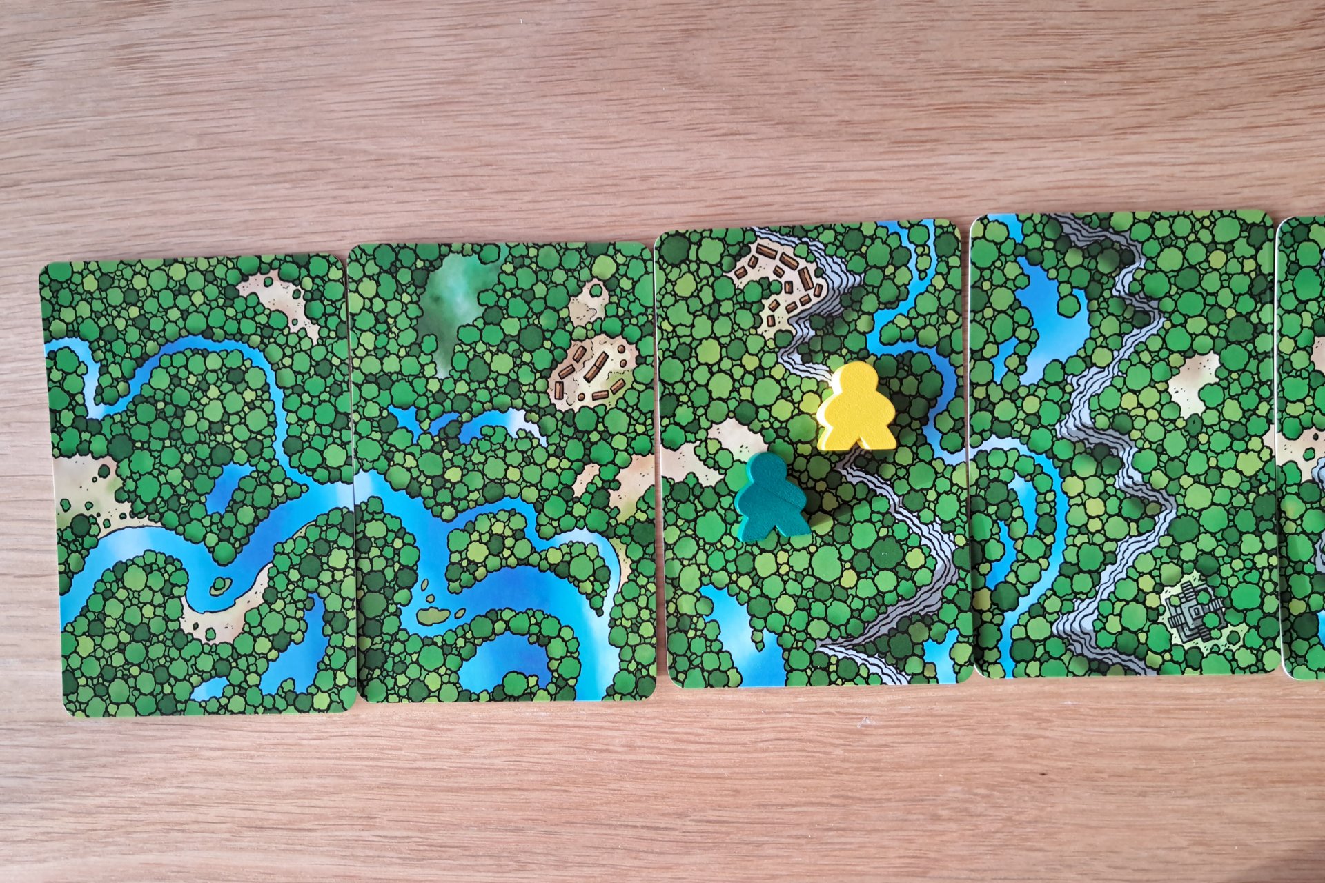 Four Expedition Cards and the two pawns.